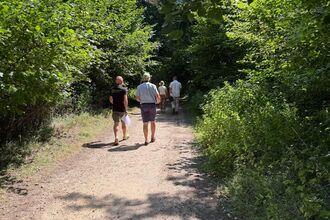 People attending the summer netwalking event, walking through a reserve aligned with trees either side of the path