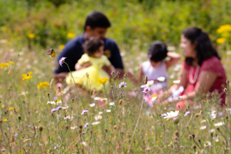 Meadow and family - Jon Hawkins