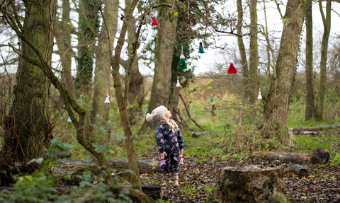 Suffolk Wildlife Trust