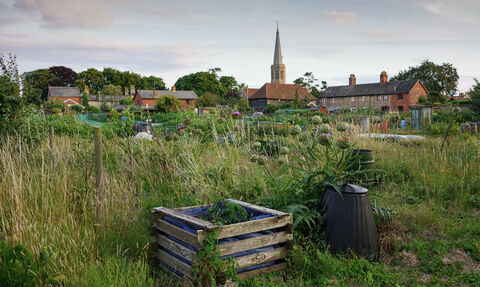 Suffolk Wildlife Trust