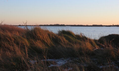 A sunset view looking over long grass toward open water