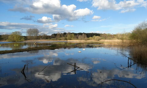 A view across a lake with blue skies and reflections of clouds