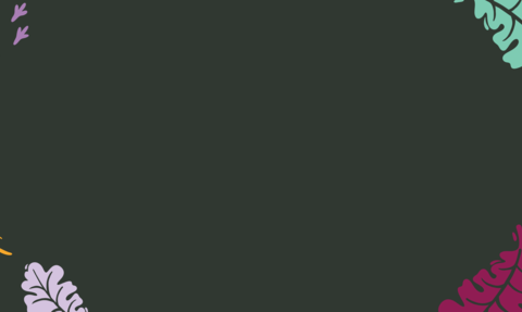 Festival of Nature website header