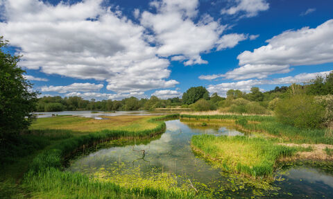 Lackford Lakes, Spring 2026