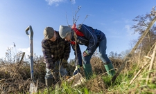 Volunteers tree planting - Sarah Groves