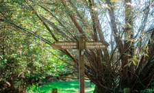 Signs to hides at Lackford Lakes