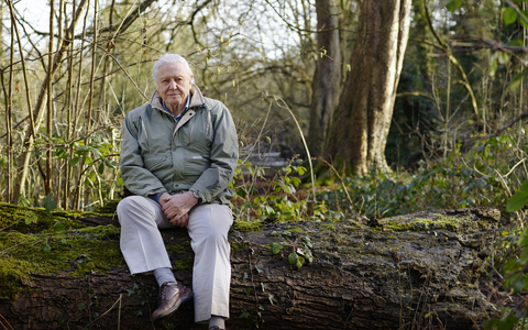 David Attenborough My Wild Life