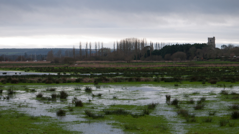 Coastal and floodplain grazing marsh