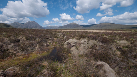 Blanket bog