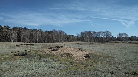 Wangford Warren Suffolk Wildlife Trust