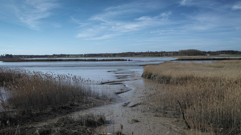 Snape marshes Suffolk Wildlife Trust