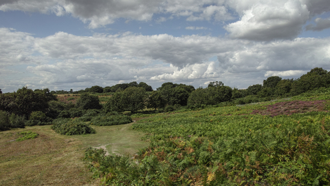 Church farm marshes Suffolk Wildlife Trust