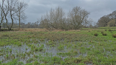 Church Farm Marshes Suffolk Wildlife Trust