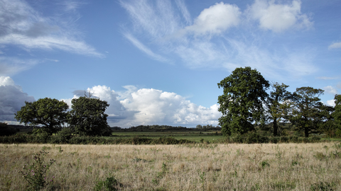 Carlton Marshes nature reserve Suffolk Wildlife Trust