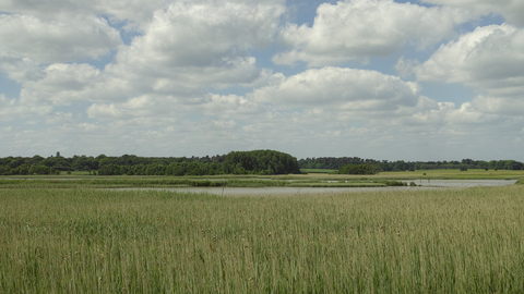 Snape marshes Suffolk Wildlife Trust