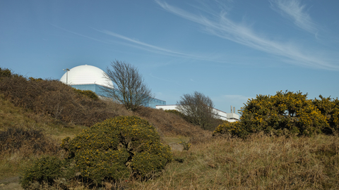 Sizewell Belts nature reserve Suffolk Wildlife Trust