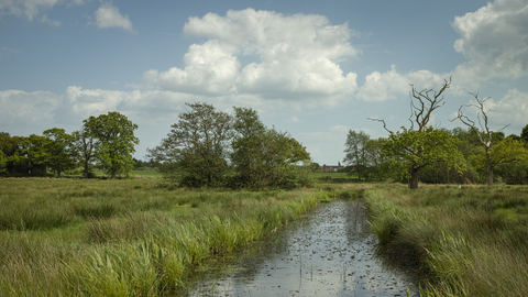 Carlton Marshes nature reserve Suffolk Wildlife Trust