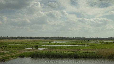 Carlton Marshes nature reserve Suffolk Wildlife Trust