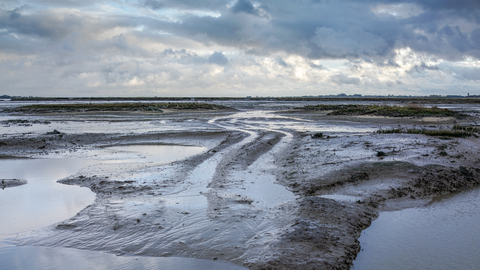 Hazlewood Marshes nature reserve Suffolk Wildlife Trust