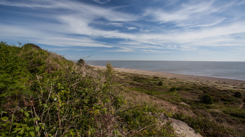 Gunton Warren Suffolk Wildlife Trust