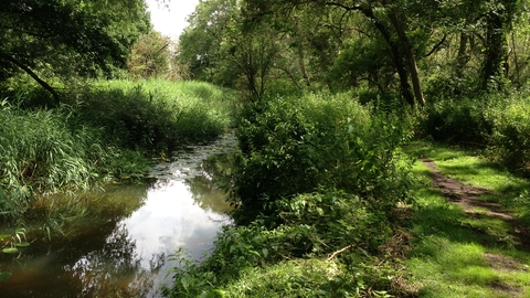 Knettishall Heath little Ouse Suffolk