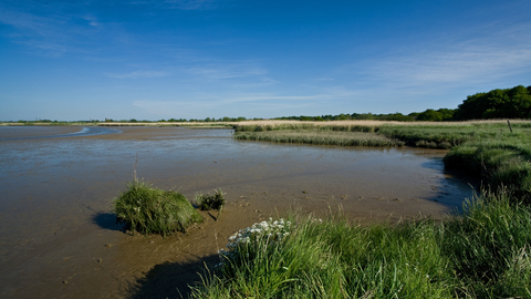 Snape marshes Suffolk Wildlife Trust