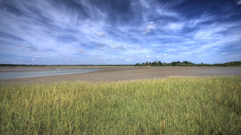 Alde Mudflats Suffolk Wildlife Trust