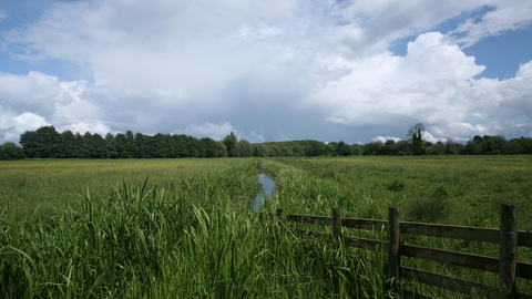 Norah hanbury kelk nature reserve Suffolk Wildlife Trust