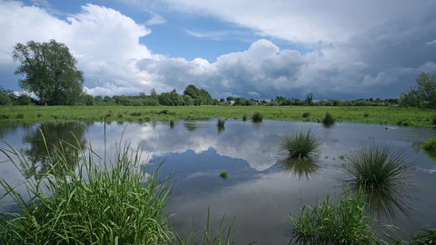 Norah hanbury kelk nature reserve Suffolk Wildlife Trust