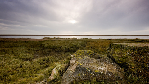 Simpson's Saltings Suffolk Wildlife Trust