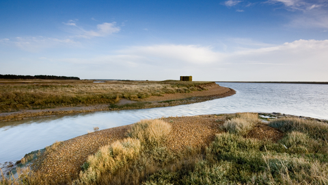 Simpson's Saltings Suffolk Wildlife Trust