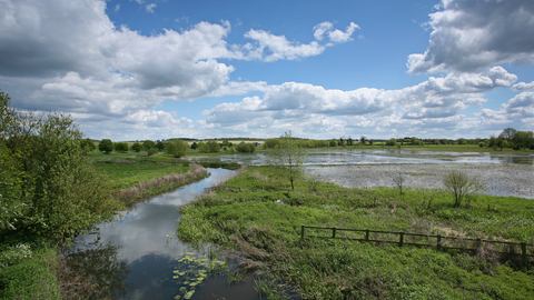 Mickle Mere nature reserve Suffolk Wildlife Trust