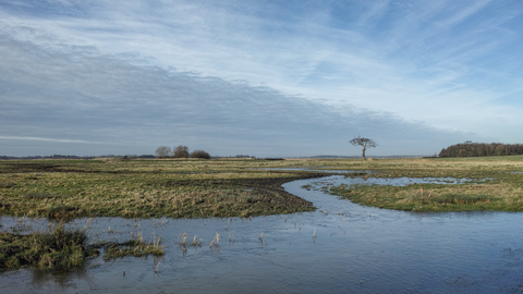 Trimley Marshes nature reserve Suffolk Wildlife Trust