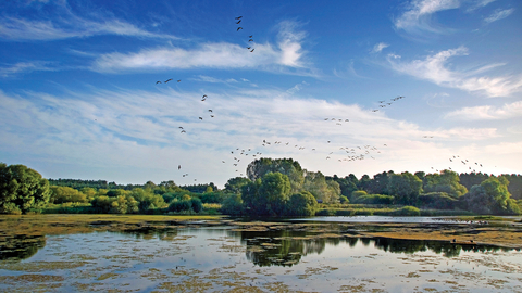 Lackford Lakes Suffolk Wildlife Trust