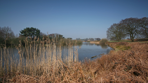 Suffolk Wildlife Trust