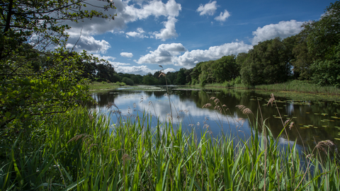 Suffolk Wildlife Trust