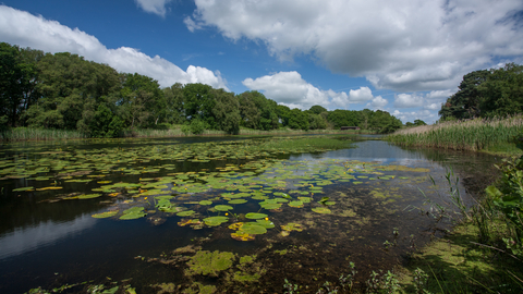 Suffolk Wildlife Trust