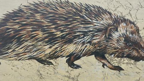 Suffolk Wildlife Trust