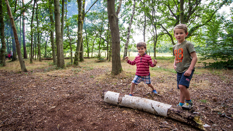 Suffolk Wildlife Trust
