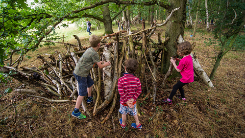 Suffolk Wildlife Trust