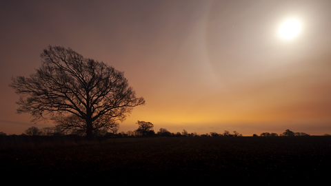 Suffolk Wildlife Trust