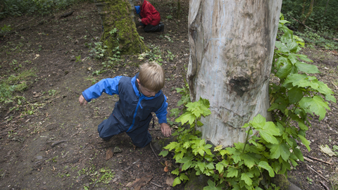 Suffolk Wildlife Trust