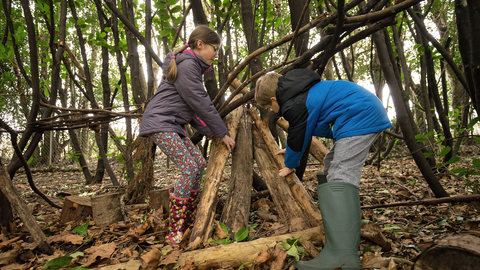 Suffolk Wildlife Trust