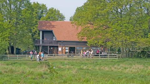 Suffolk Wildlife Trust