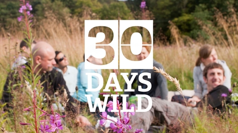 30 Days Wild
