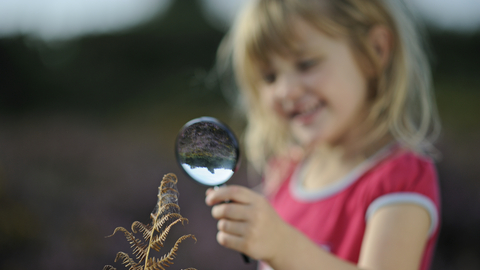 Suffolk Wildlife Trust