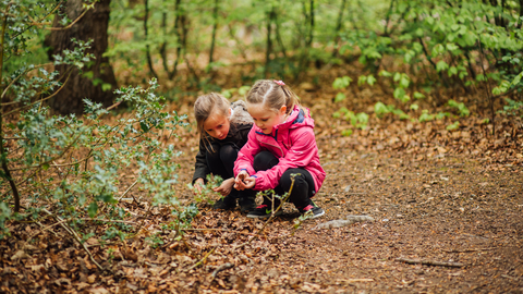Suffolk Wildlife Trust