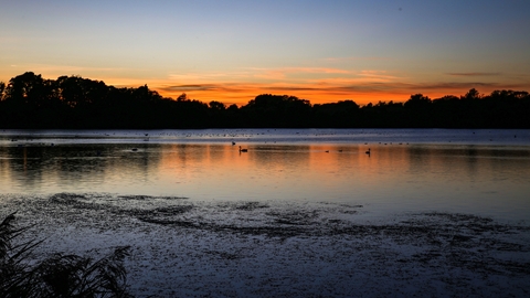 Suffolk Wildlife Trust