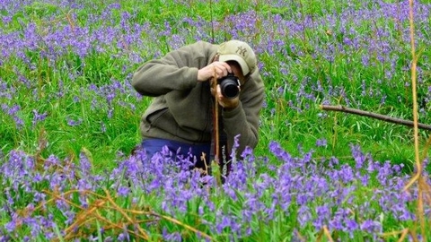 Kevin in Bluebells by Kevin Sawford close-up