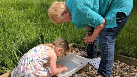 pond dipping